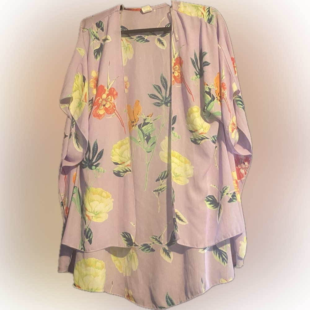 Sheer Pull Over